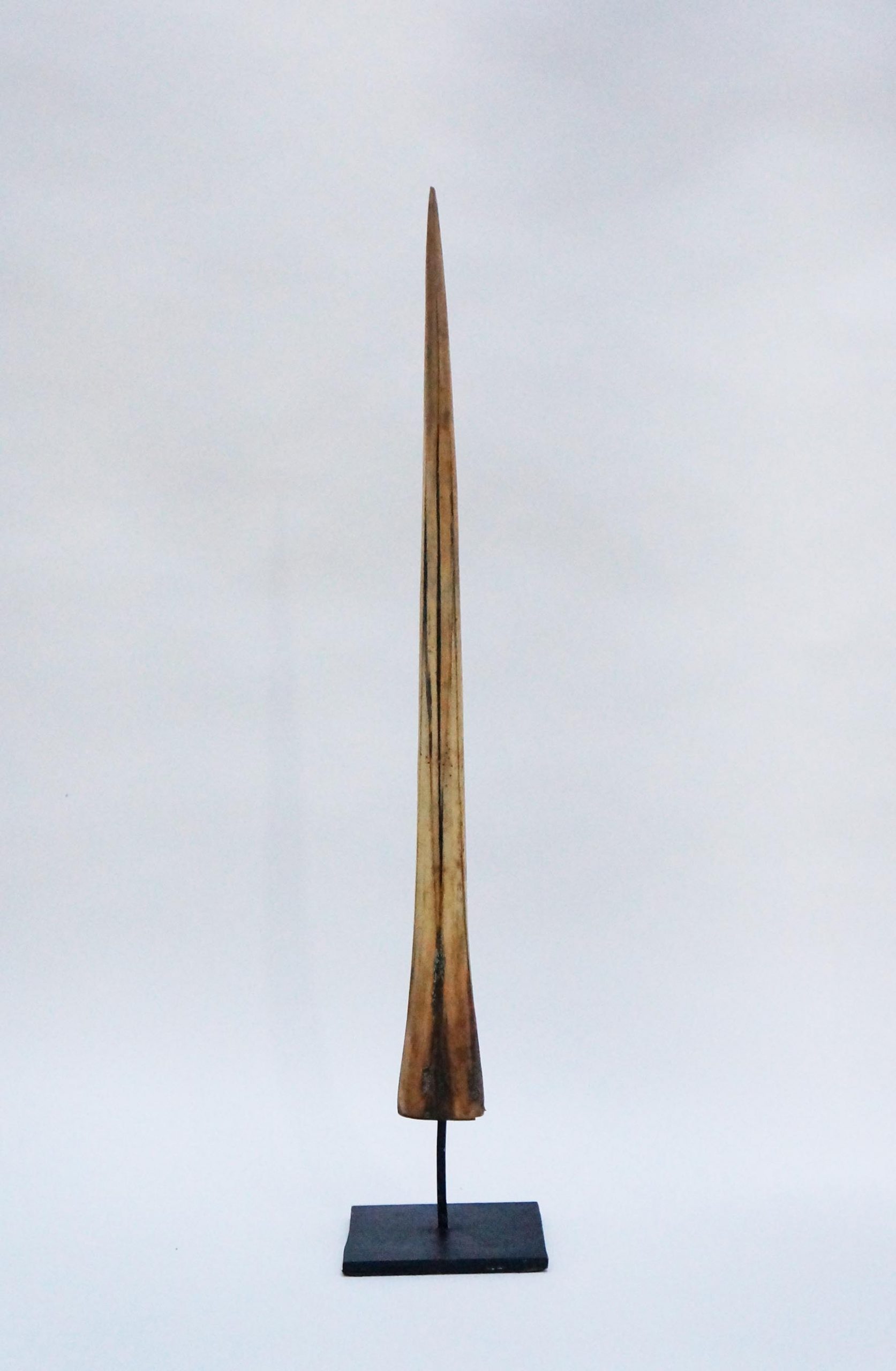 Rostre de Marlin/socle (XL) 55cm