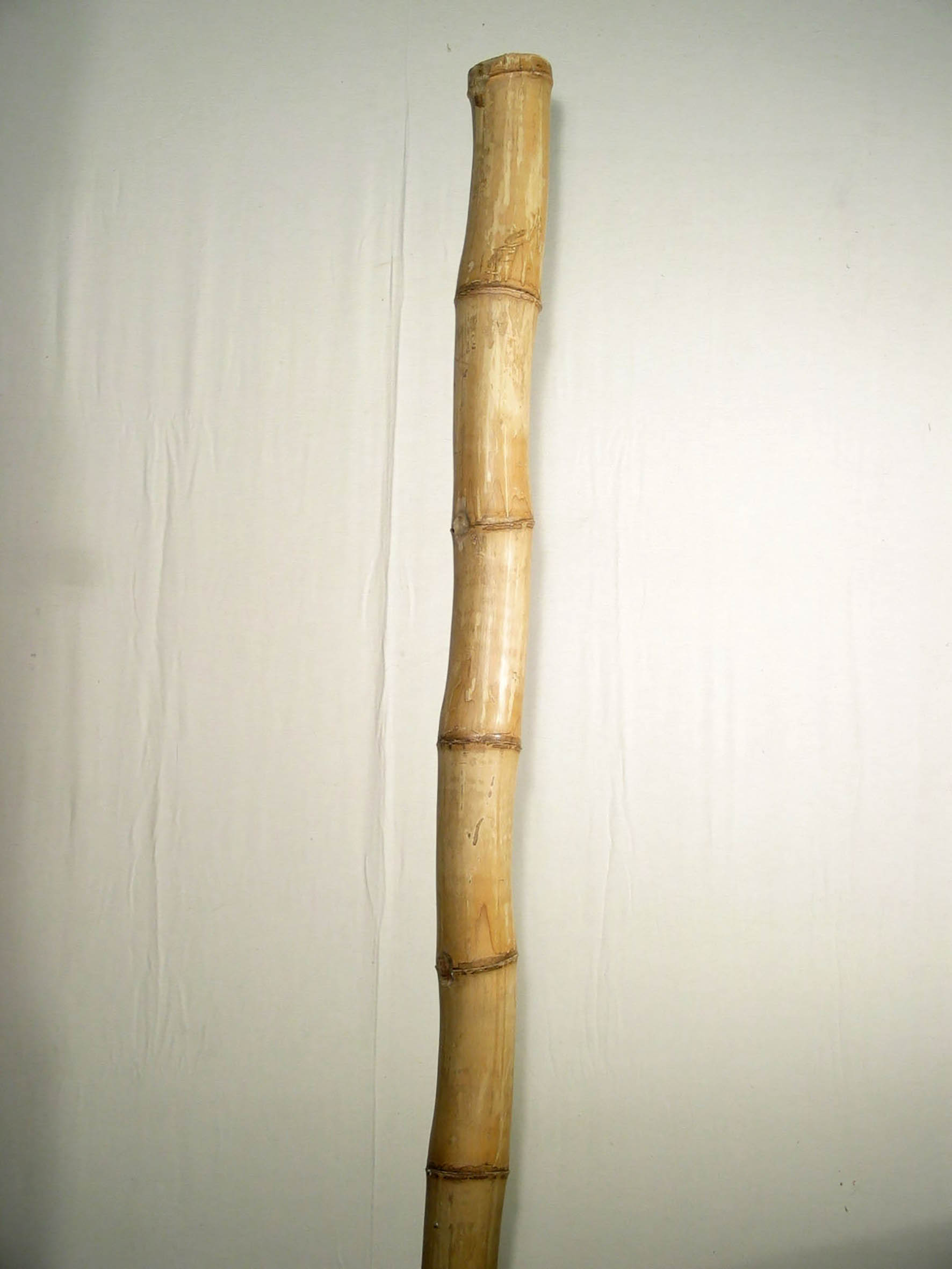 Tronc de Bambou ~ 1 m