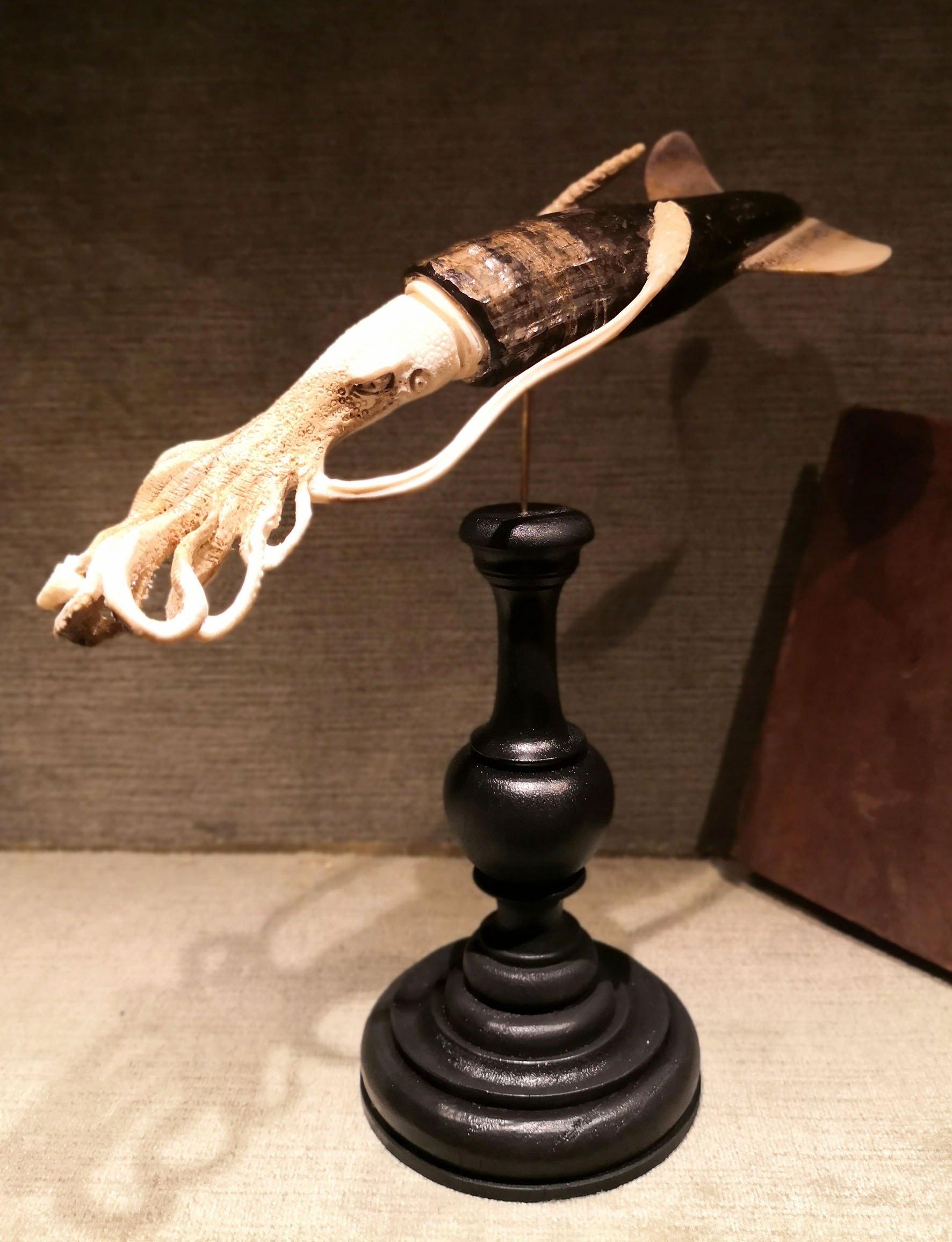 Calamar sur socle (corne et os)