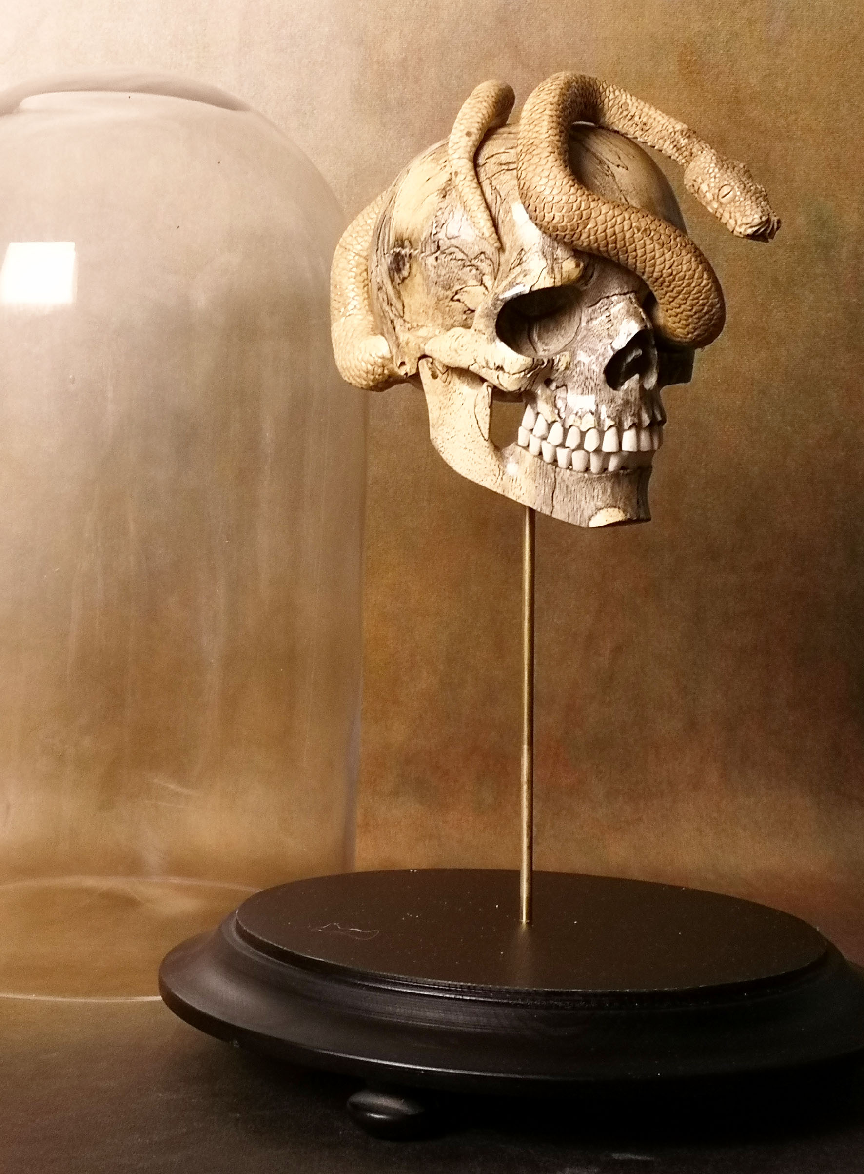 Globe MM – Crâne /serpent en os
